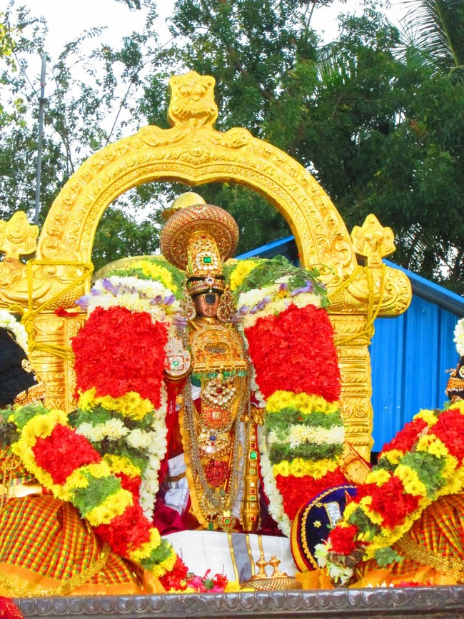 Srirangam Namperumal Masi theppotsavam- Thirupalliyodam 2014 -10