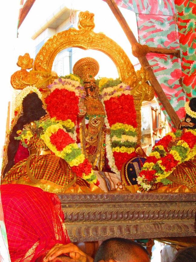 Srirangam Namperumal Masi theppotsavam Thirupalliyodam 2014 -12