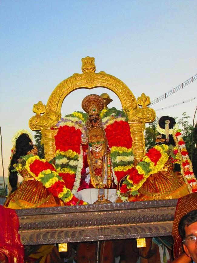 Srirangam Namperumal Masi theppotsavam- Thirupalliyodam 2014 -15