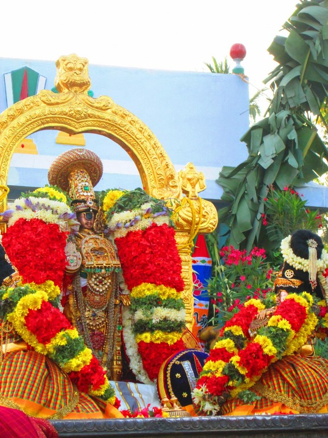 Srirangam Namperumal Masi theppotsavam- Thirupalliyodam 2014 -17
