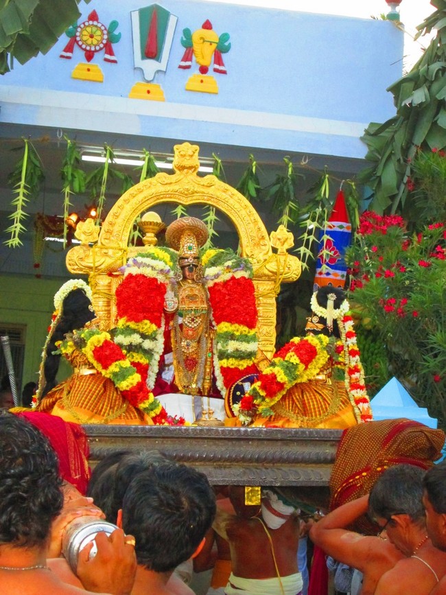Srirangam Namperumal Masi theppotsavam- Thirupalliyodam 2014 -18