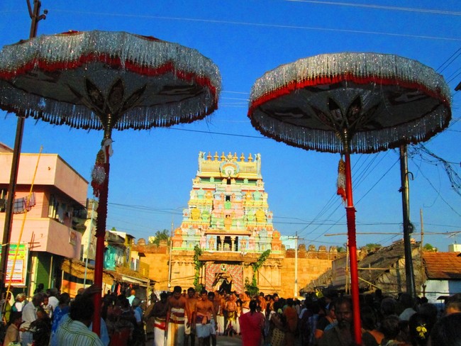 Srirangam Namperumal Masi theppotsavam Thirupalliyodam 2014 -26