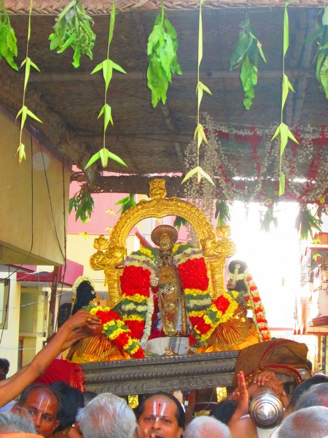 Srirangam Namperumal Masi theppotsavam Thirupalliyodam 2014 -30