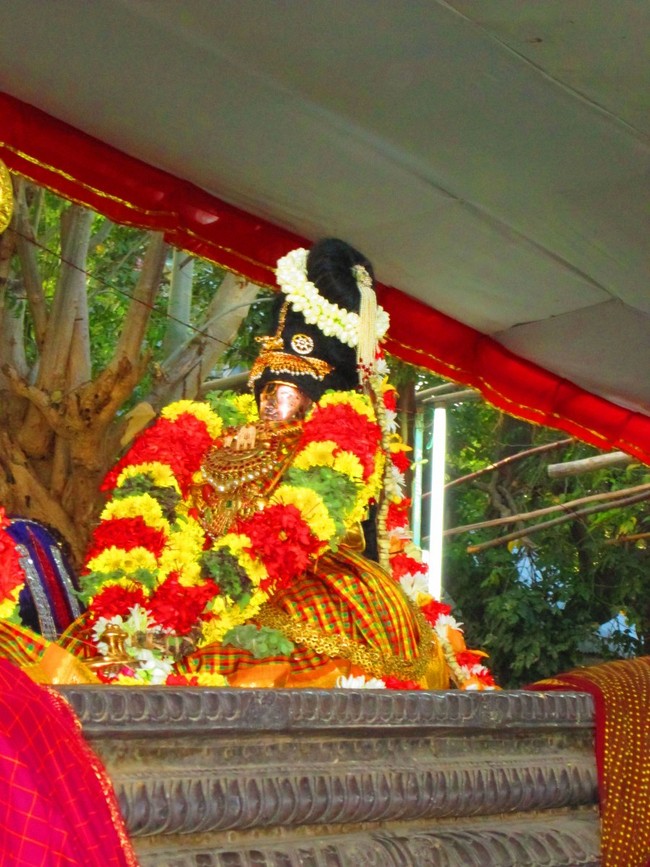 Srirangam Namperumal Masi theppotsavam- Thirupalliyodam 2014 -31