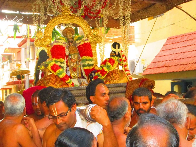 Srirangam Namperumal Masi theppotsavam Thirupalliyodam 2014 -32