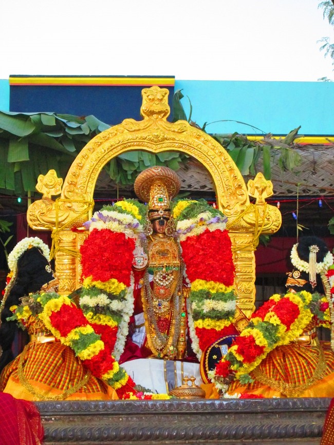 Srirangam Namperumal Masi theppotsavam- Thirupalliyodam 2014 -32