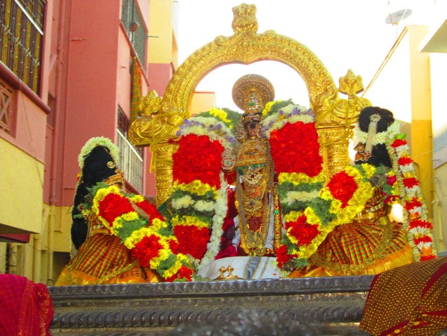 Srirangam Namperumal Masi theppotsavam Thirupalliyodam 2014 -33