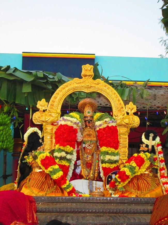 Srirangam Namperumal Masi theppotsavam- Thirupalliyodam 2014 -33