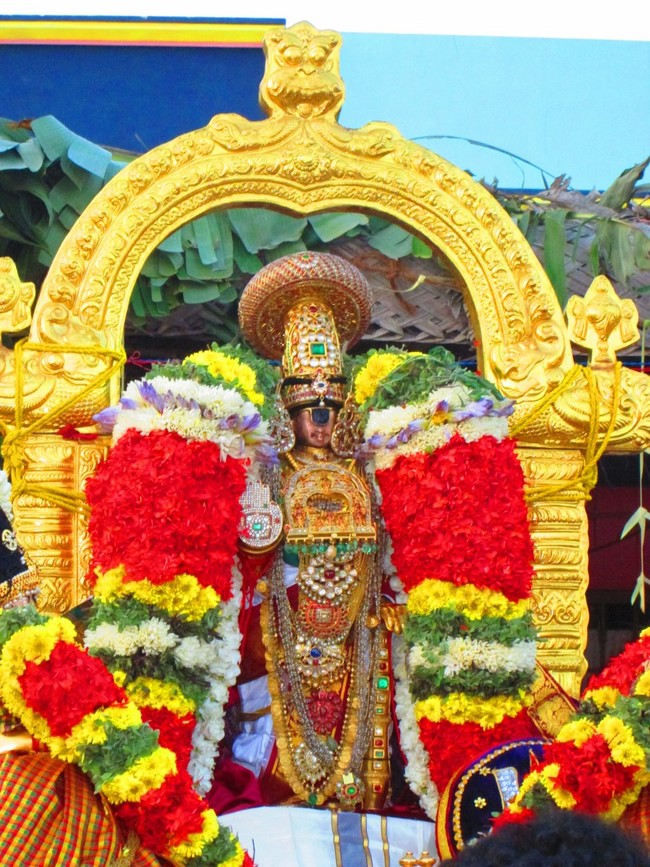 Srirangam Namperumal Masi theppotsavam- Thirupalliyodam 2014 -34