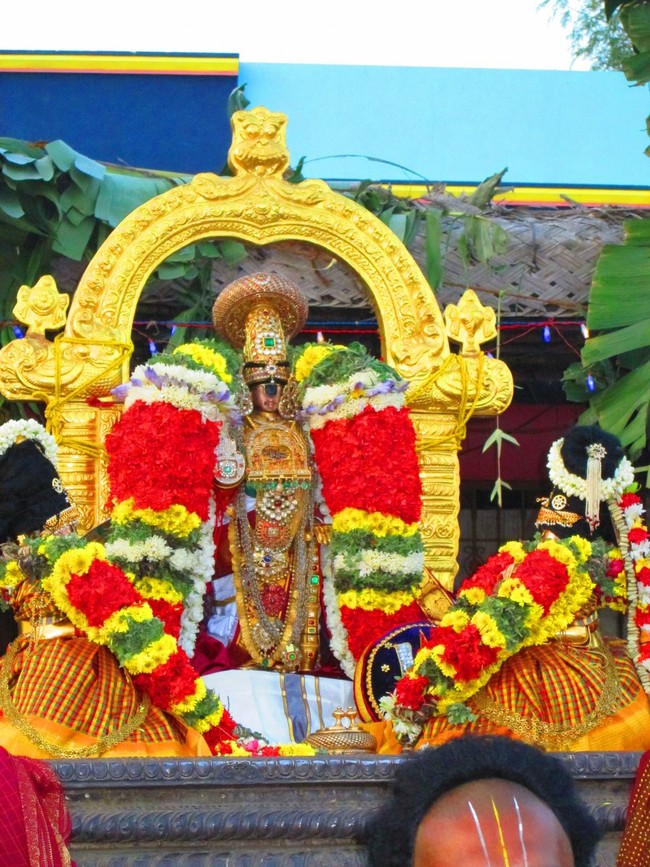 Srirangam Namperumal Masi theppotsavam- Thirupalliyodam 2014 -35