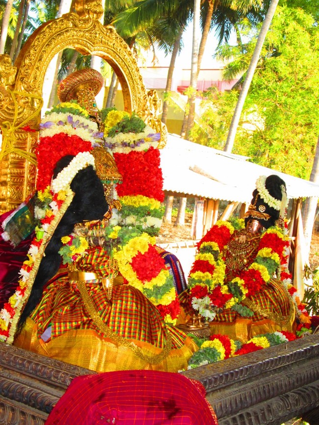 Srirangam Namperumal Masi theppotsavam Thirupalliyodam 2014 -36