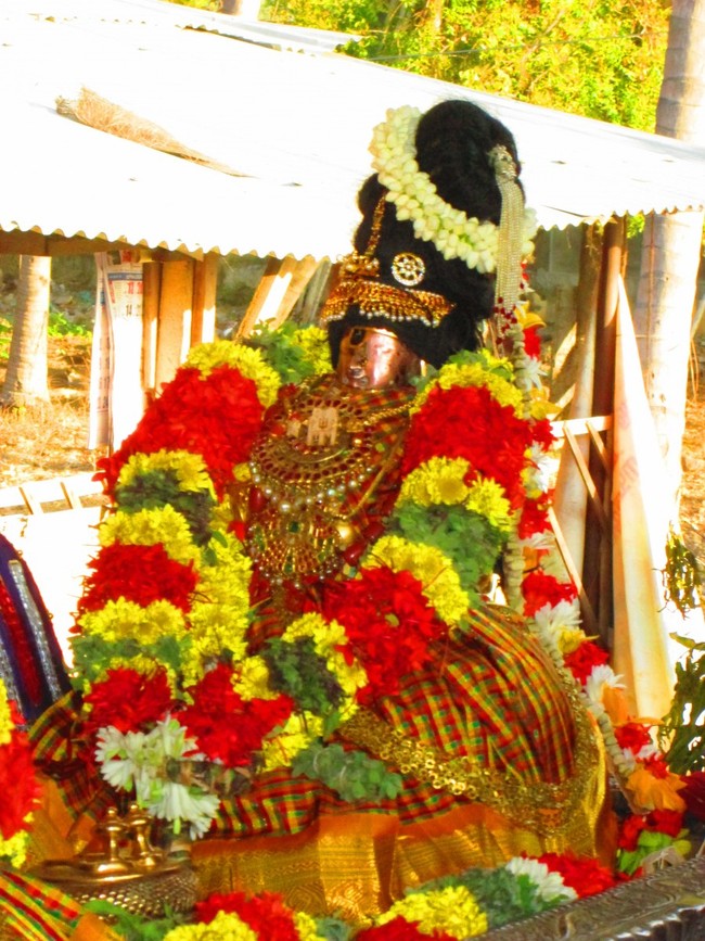 Srirangam Namperumal Masi theppotsavam Thirupalliyodam 2014 -37