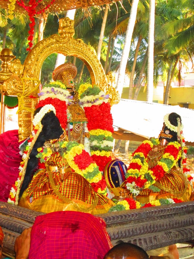 Srirangam Namperumal Masi theppotsavam Thirupalliyodam 2014 -38