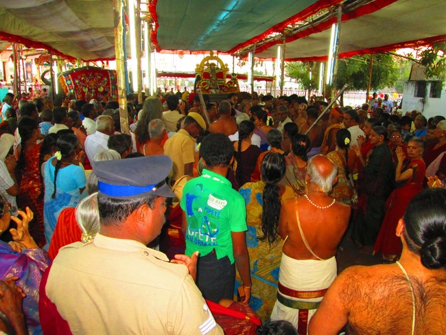 Srirangam Namperumal Masi theppotsavam- Thirupalliyodam 2014 -38