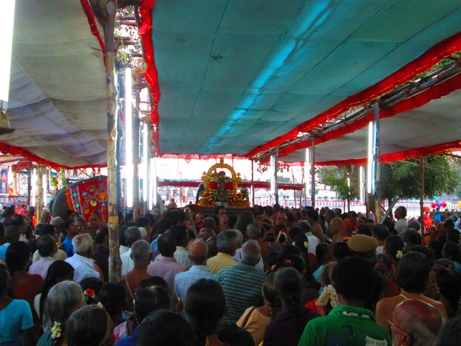 Srirangam Namperumal Masi theppotsavam- Thirupalliyodam 2014 -39