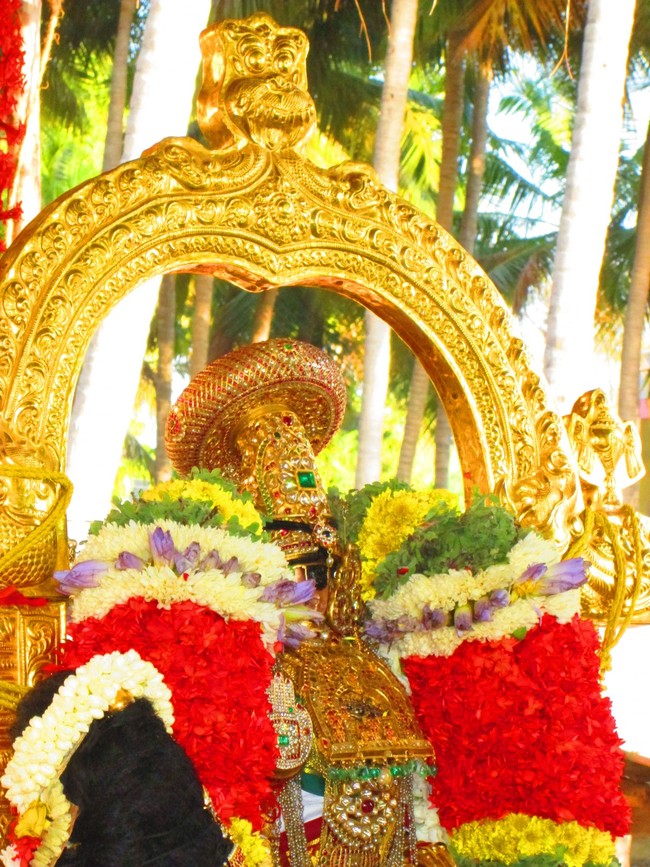 Srirangam Namperumal Masi theppotsavam Thirupalliyodam 2014 -41