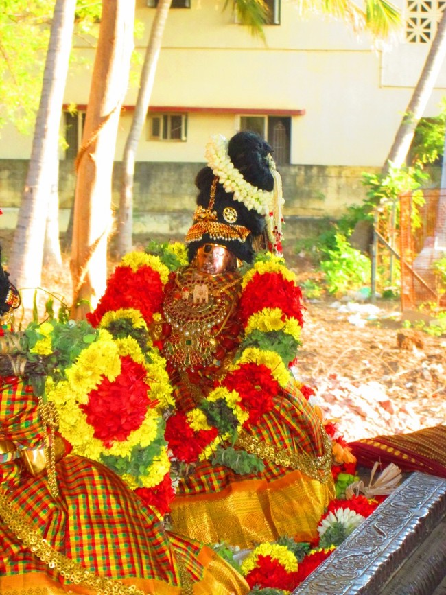 Srirangam Namperumal Masi theppotsavam Thirupalliyodam 2014 -44