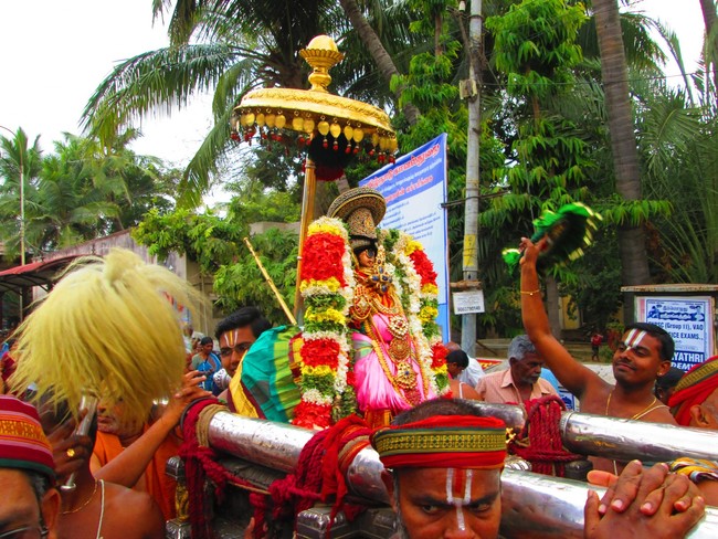 Srirangam Namperumal Purappadu day 6 Before yanai vahanam 2014 -02