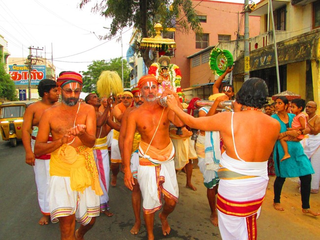 Srirangam Namperumal Purappadu day 6 Before yanai vahanam 2014 -05