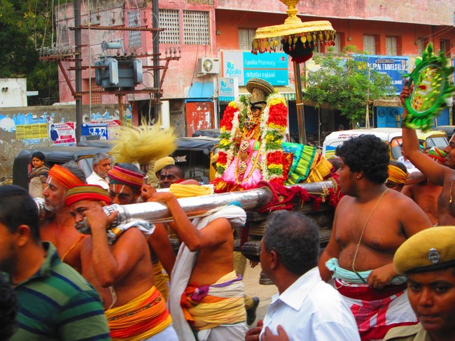 Srirangam Namperumal Purappadu day 6 Before yanai vahanam 2014 -19