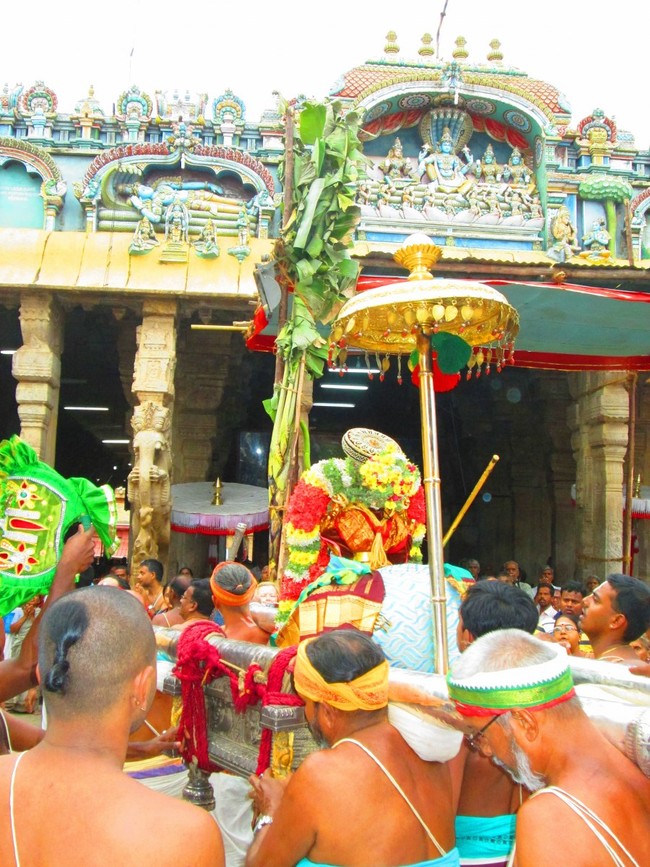 Srirangam Namperumal Purappadu day 6 Before yanai vahanam 2014 -34