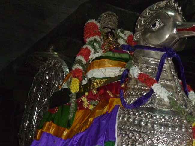 Srirangam Ranganathaswamy Theppotsavam day 1 2014 -3