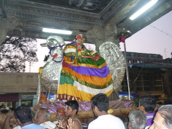 Srirangam Ranganathaswamy Theppotsavam day 1 2014 -6