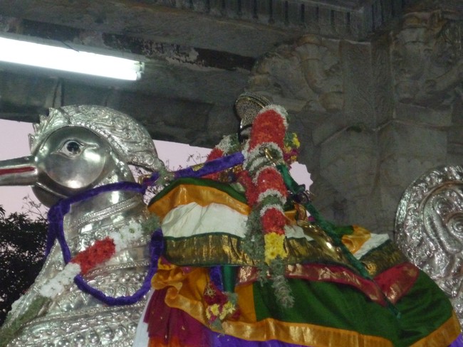 Srirangam Ranganathaswamy Theppotsavam day 1 2014 -7