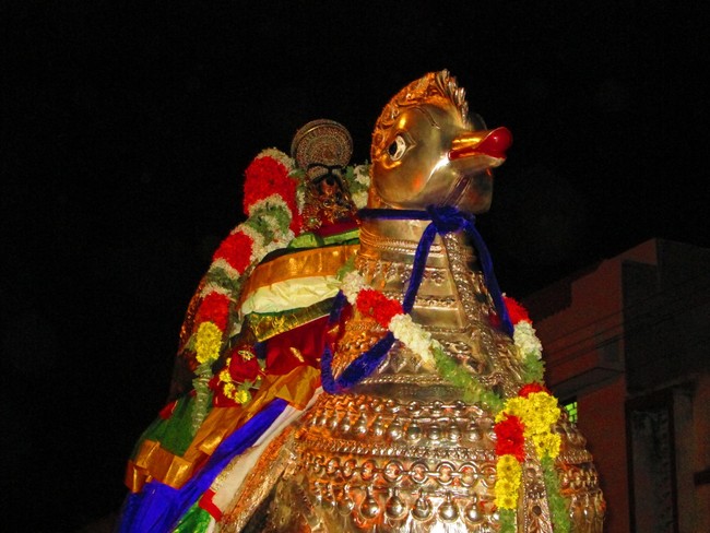 Srirangam Ranganathaswamy Theppotsavam day 1 Hamsa Vahanam 2014 -12