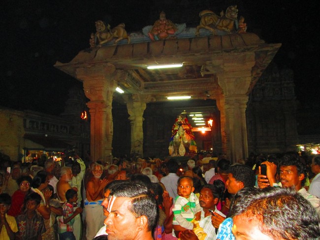 Srirangam Ranganathaswamy Theppotsavam day 1 Hamsa Vahanam 2014 -26