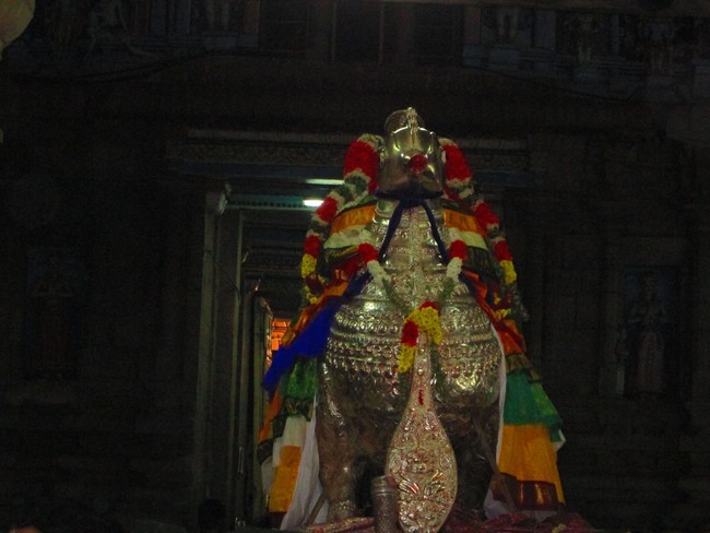 Srirangam Ranganathaswamy Theppotsavam day 1 Hamsa Vahanam 2014 -27
