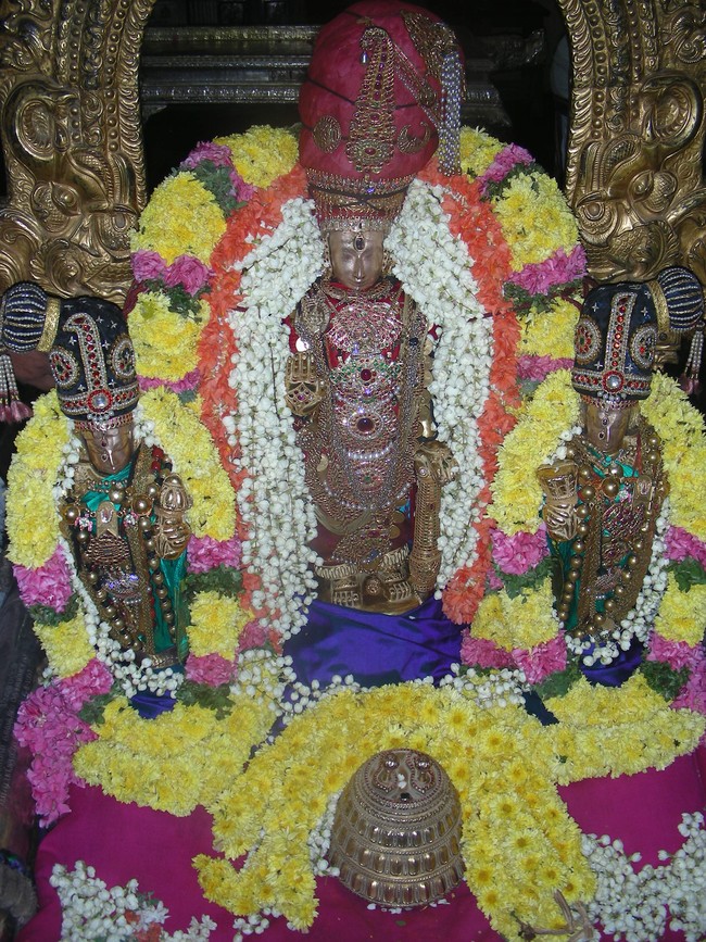 THiruvallur Theppotsavam day 3  2014 -11