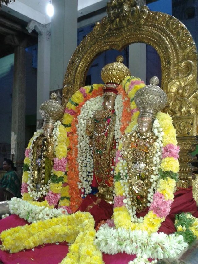 THiruvallur Veeraraghava perumal temple THirukachi nambi thirunakshatra Utsavam 2014 -02_640x853