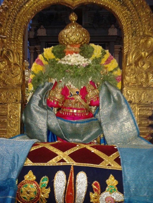 THiruvallur Veeraraghava perumal temple THirukachi nambi thirunakshatra Utsavam 2014 -03_640x853