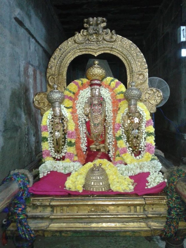 THiruvallur Veeraraghava perumal temple THirukachi nambi thirunakshatra Utsavam 2014 -04_640x853