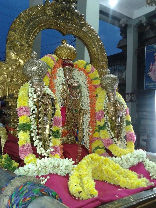 THiruvallur Veeraraghava perumal temple THirukachi nambi thirunakshatra Utsavam 2014 -10_640x853
