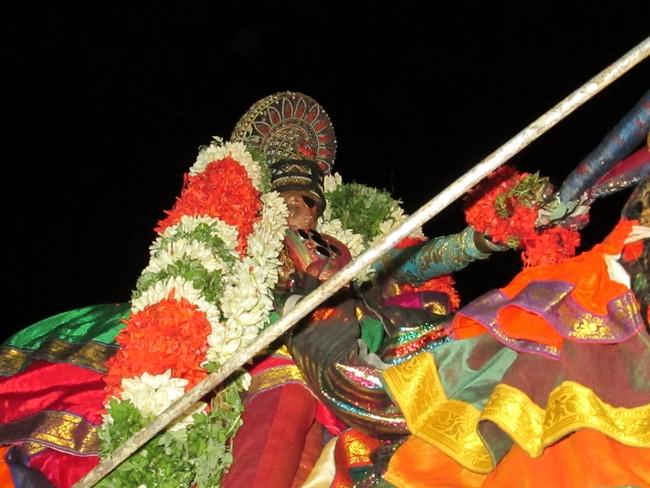 THiruvellarai Brahmotsavam Kudhirai vahanam- 2014 -01