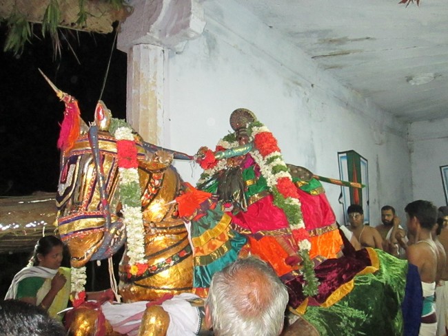 THiruvellarai Brahmotsavam Kudhirai vahanam 2014 -07