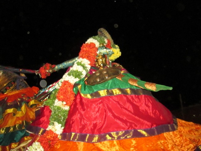 THiruvellarai Brahmotsavam Kudhirai vahanam 2014 -14