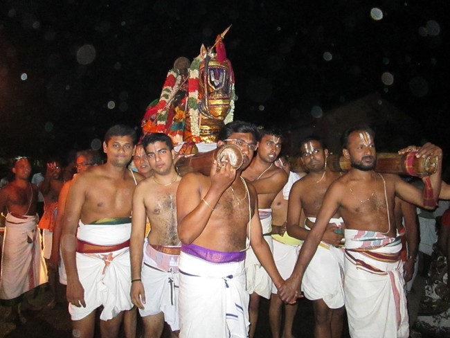 THiruvellarai Brahmotsavam Kudhirai vahanam- 2014 -15