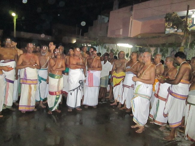 THiruvellarai Brahmotsavam Kudhirai vahanam- 2014 -19