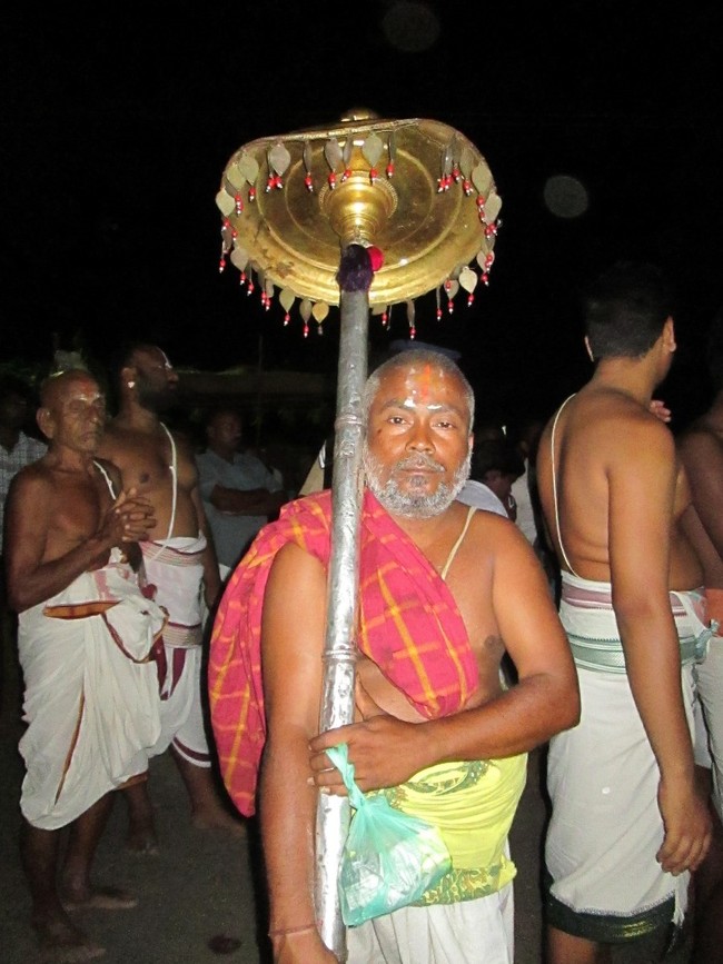 THiruvellarai Brahmotsavam Kudhirai vahanam 2014 -23