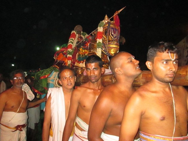 THiruvellarai Brahmotsavam Kudhirai vahanam 2014 -28