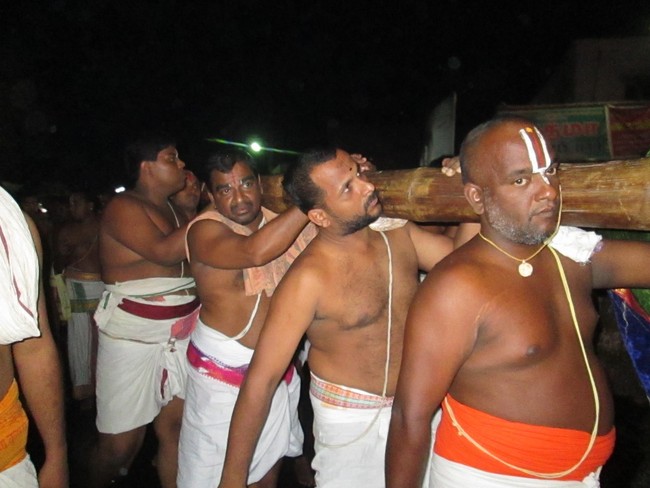 THiruvellarai Brahmotsavam Kudhirai vahanam 2014 -29