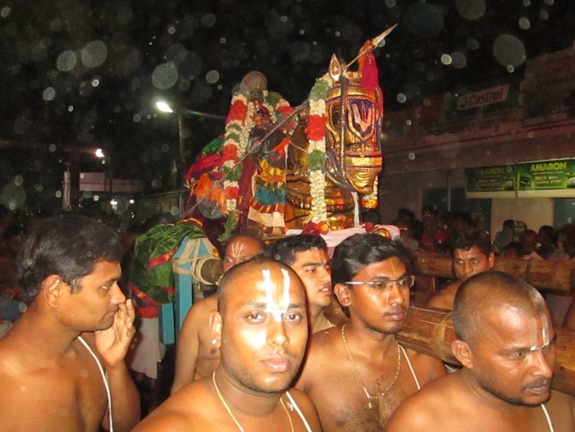THiruvellarai Brahmotsavam Kudhirai vahanam 2014 -35