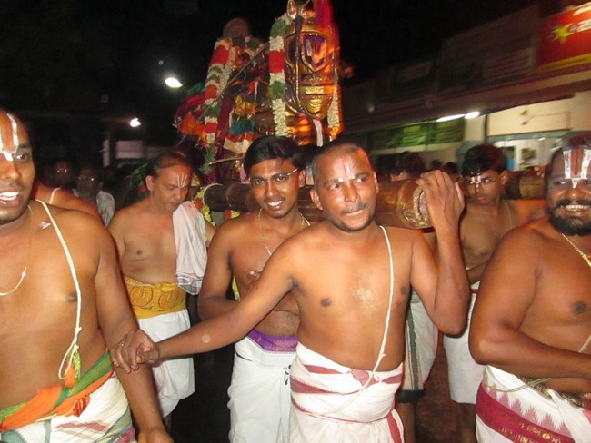 THiruvellarai Brahmotsavam Kudhirai vahanam 2014 -36
