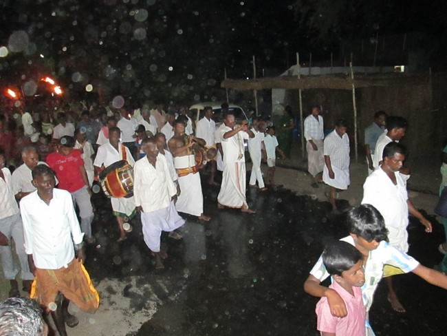 THiruvellarai Brahmotsavam Kudhirai vahanam 2014 -39