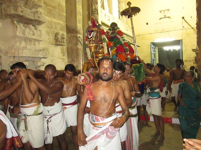 THiruvellarai Brahmotsavam Kudhirai vahanam- 2014 -41