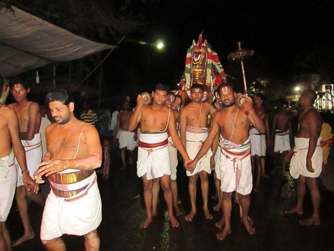 THiruvellarai Brahmotsavam Kudhirai vahanam 2014 -46