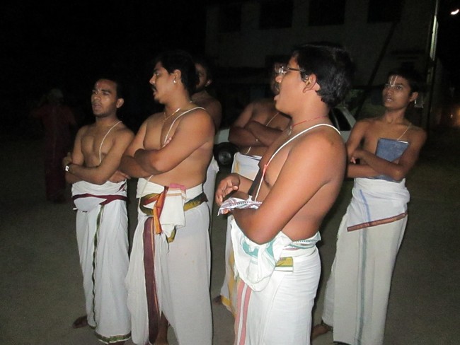 THiruvellarai Brahmotsavam SImha  vahanam 2014 -31